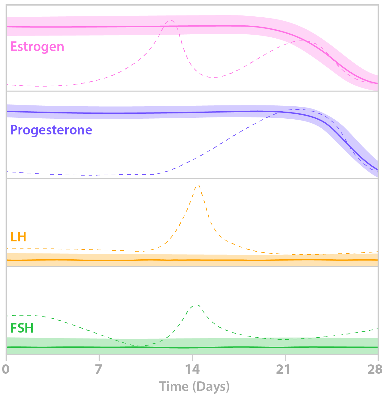 Graph showing levels of the important hormones of the menstruation cycle (estrogen, progesterone, LH, FSH) while on hormonal birth control.